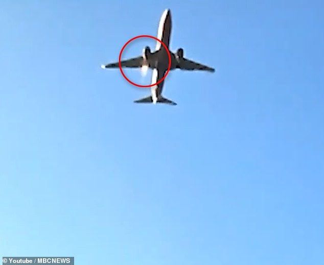 An unverified video grab reportedly of the Jeju Air plane shows a burst of fire coming out of the jet's right engine supposedly showing the moment the bird struck