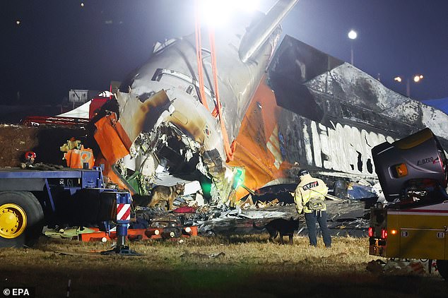 Firefighters search tangled wreckage at Muan International Airport