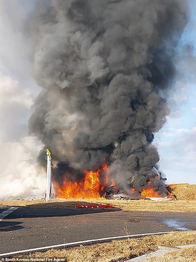 The Boeing 737-800 was seen engulfed in a huge ball of fire after it skidded off the end of the runway and crashed into a concrete wall