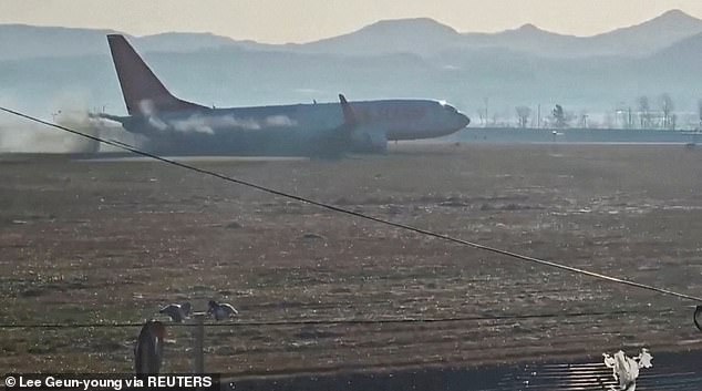 Black smoke emits from Jeju Air flight 7C2216 as it veers off the runway