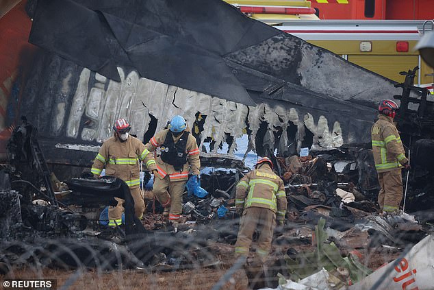 The wreckage of the plane is seen above, as firefighters comb through debris, on December 30