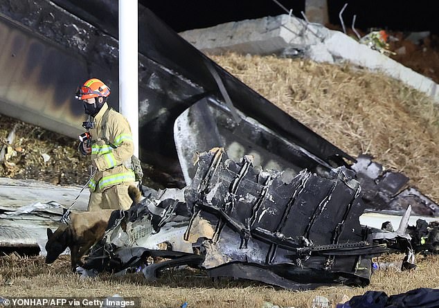 A firefighter and a dog work near the deadly crash site that killed all 175 passengers and four crew members