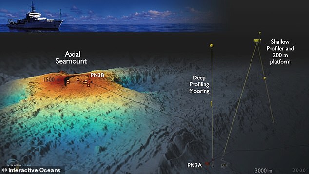 Because Axial erupts with some regularity, it provides a unique opportunity for scientists to study the warning signs leading up to an eruption, and learn how to forecast one