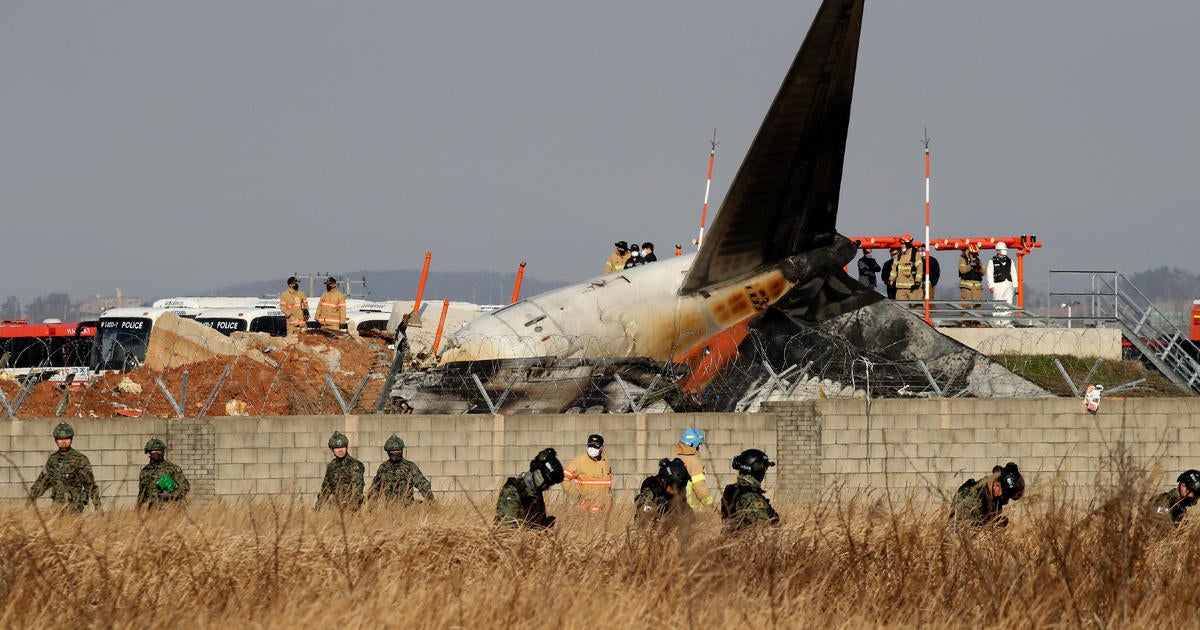 South Korea plane crash probe raises questions about possible bird strike, airport infrastructure