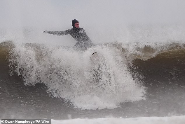 A surfer catches a wave in the wind at Tynemouth Longsands in North Tyneside today