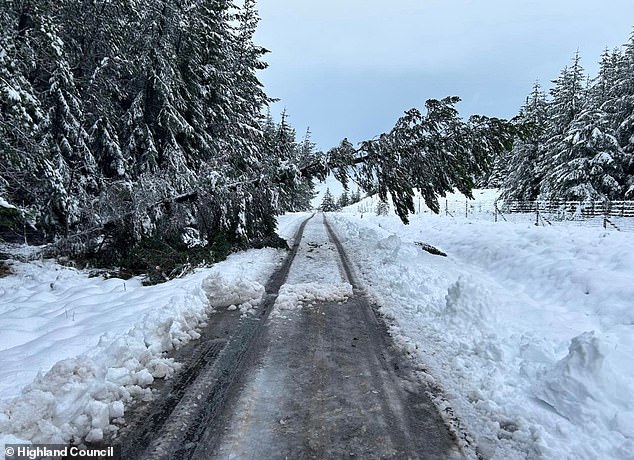 The A838 road from Merkland to Overskaig in the Highlands was shut today due to a fallen tree