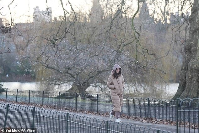 People brave the cold as they walk through St James's Park in London on Friday morning