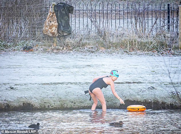 A swimmer takes a dip at a frosty Beckenham Place Park Lake in South East London today