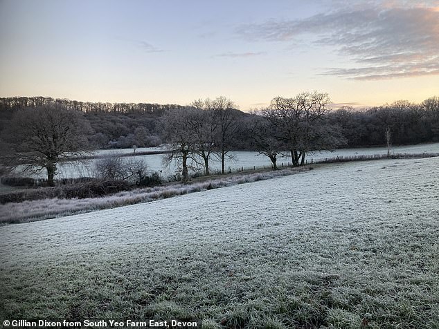 A frosty scene at South Yeo Farm East in Devon on Friday as the UK wakes up to very cold weather