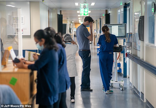 While staff numbers in the health service in England have swelled by 10,000 in a decade, 1,150 fully qualified GPs have left in the same period (Stock image)