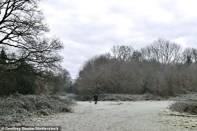 More than a foot of snow is expected to sweep across the country. Pictured: Dunsden, Oxfordshire on Saturday morning