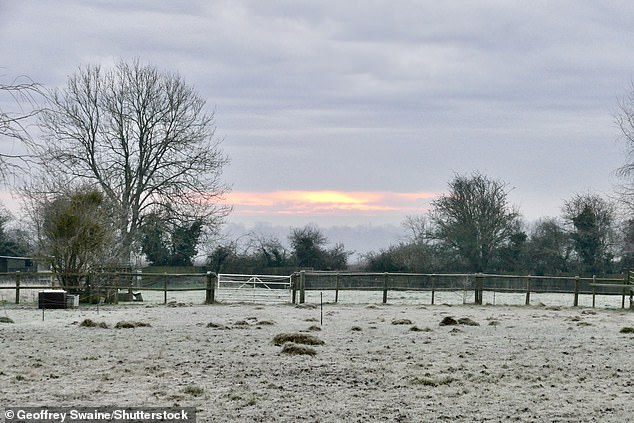 Hard frost covers the countryside after another bitterly cold night in Dunsden, Oxfordshire