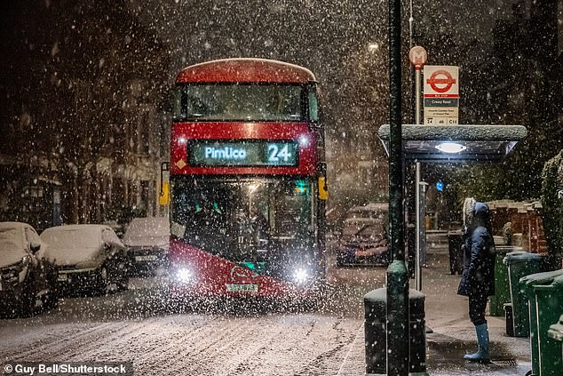 Snow also blanketed London overnight. Pictured is one of the city's famed red buses picking up a passenger