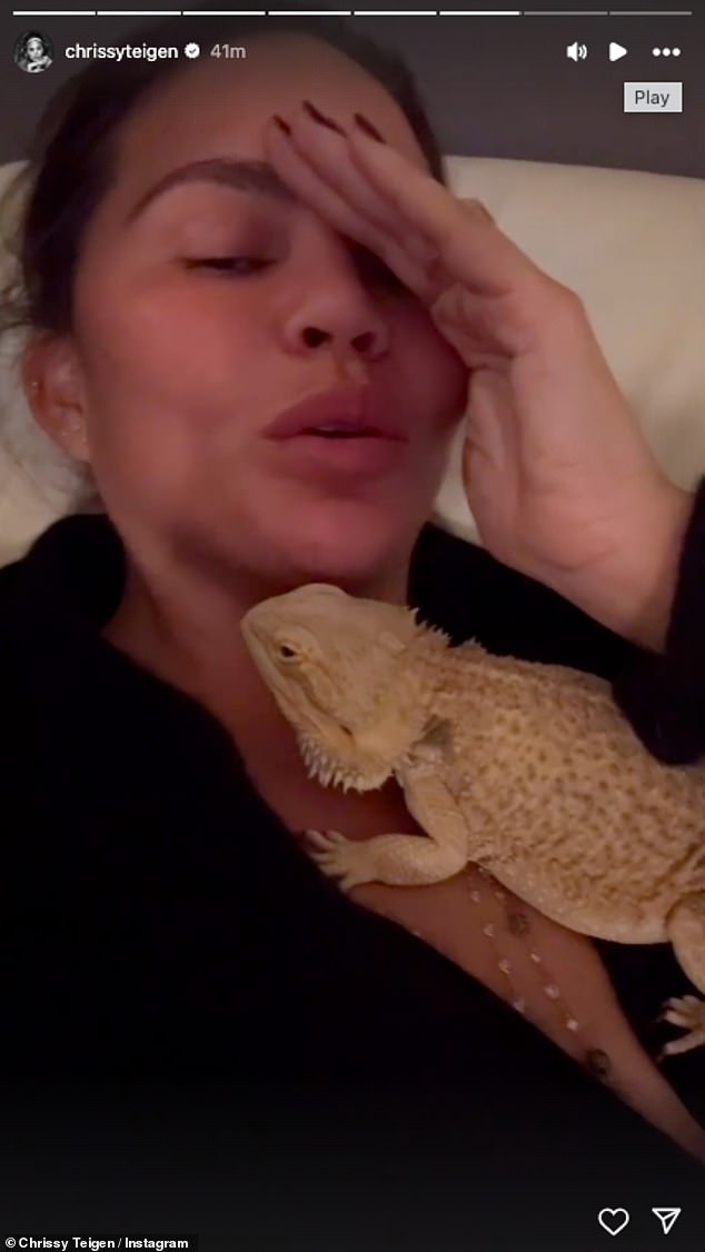 She shares several clips on her Story with the family's bearded dragon Sebastian and told her fans that they couldn't have left him at home