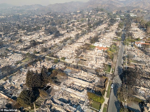 A bird's-eye view reveals the sheer scale of the Pacific Palisades fire, leaving an entire neighborhood in ruins