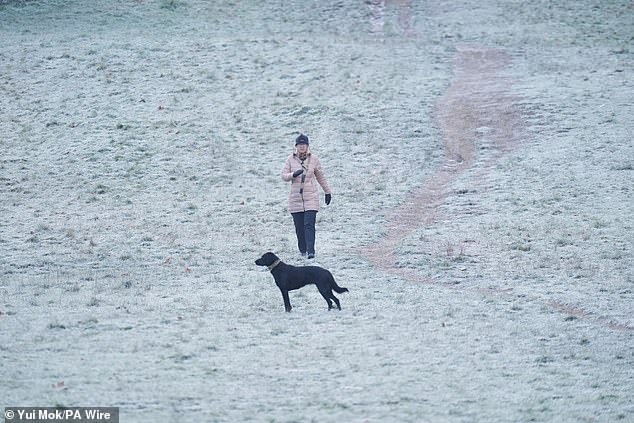 LONDON: A person walks their dog through a frosty Greenwich Park in London on Friday