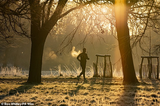 LONDON: A runner braves the cold as they go for a jog in Morden Hall Park on Friday