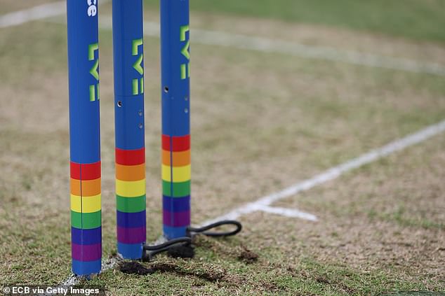 The concerned mother, who wants to remain anonymous, has implored them to extend the ban to amateur cricket. Pictured: Rainbow Laces colours on the stumps at Headingley in 2023