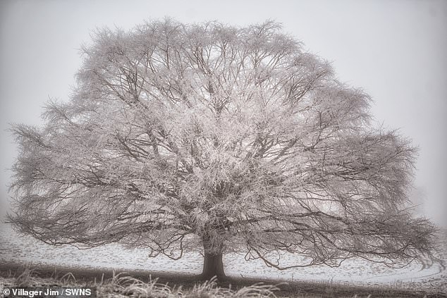 Temperatures dropped to -10C in the village of Stamford in Lincolnshire, on Saturday January 11