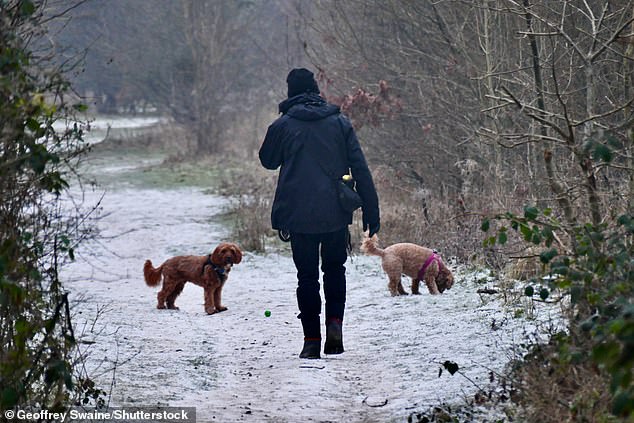 People out early on a cold and frosty morning in the countryside. Dunsden, Oxfordshire - 12 Jan 2025