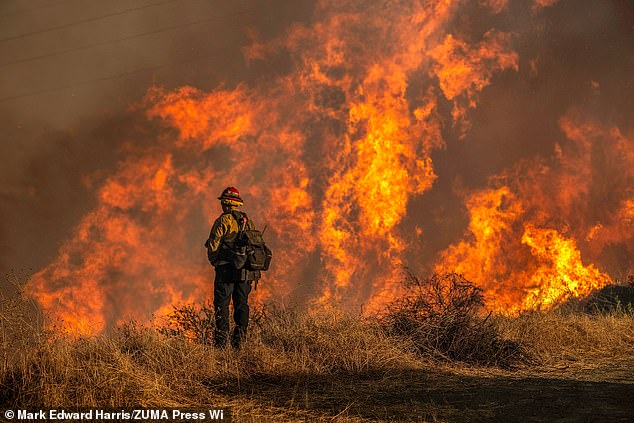 Firefighter near a fire road above Mandeville Canyon during the Palisades Fire on January 11, 2025