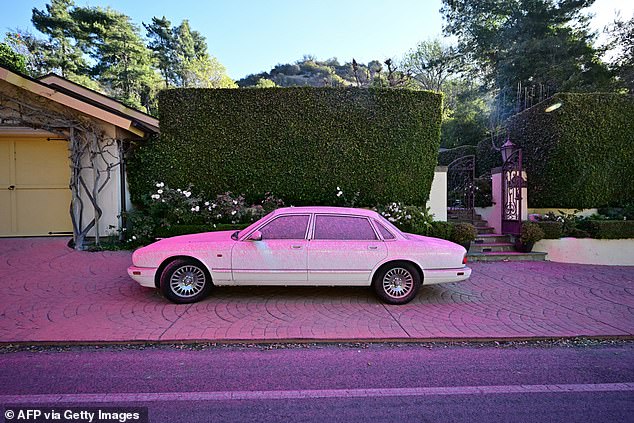 Pink fire retardant has stained houses and buildings in Los Angeles as the authorities continue to try and slow down the blazes (pictured: Fire retardant covers a car and sidewalk in the Mandeville Canyon neighborhood of Los Angeles)