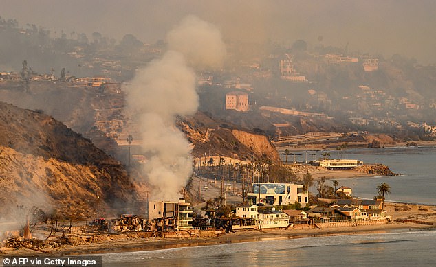 An aerial view of incinerated homes on Pacific Coast Highway on Thursday