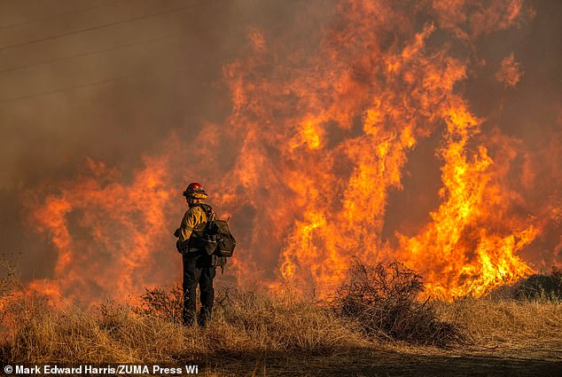 So far, the California fires have killed at least 16 people, and wiped out an estimated 40,300 acres of land, 12,300 homes and other structures