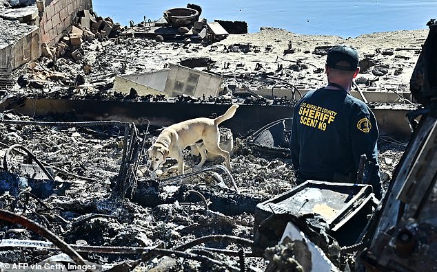 With cadaver dogs now being brought in to locate human remains, Los Angeles County Sheriff Robert Luna has warned the death toll will likely continue to rise