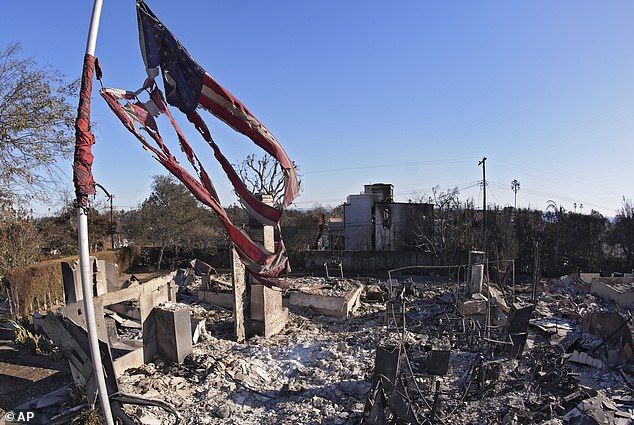 Pictured: An American flag is seen tattered as it flies above a burned down home after the Palisades Fire