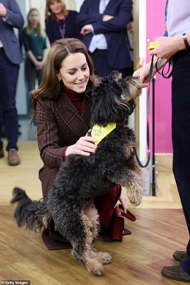 Kate playing with Scout, the Royal Marsden Hospital's therapy dog