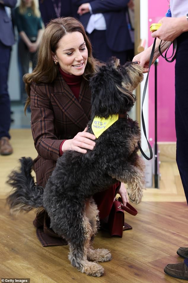 The Princess of Wales meets Scout the therapy dog at the Royal Marsden Hospital this morning