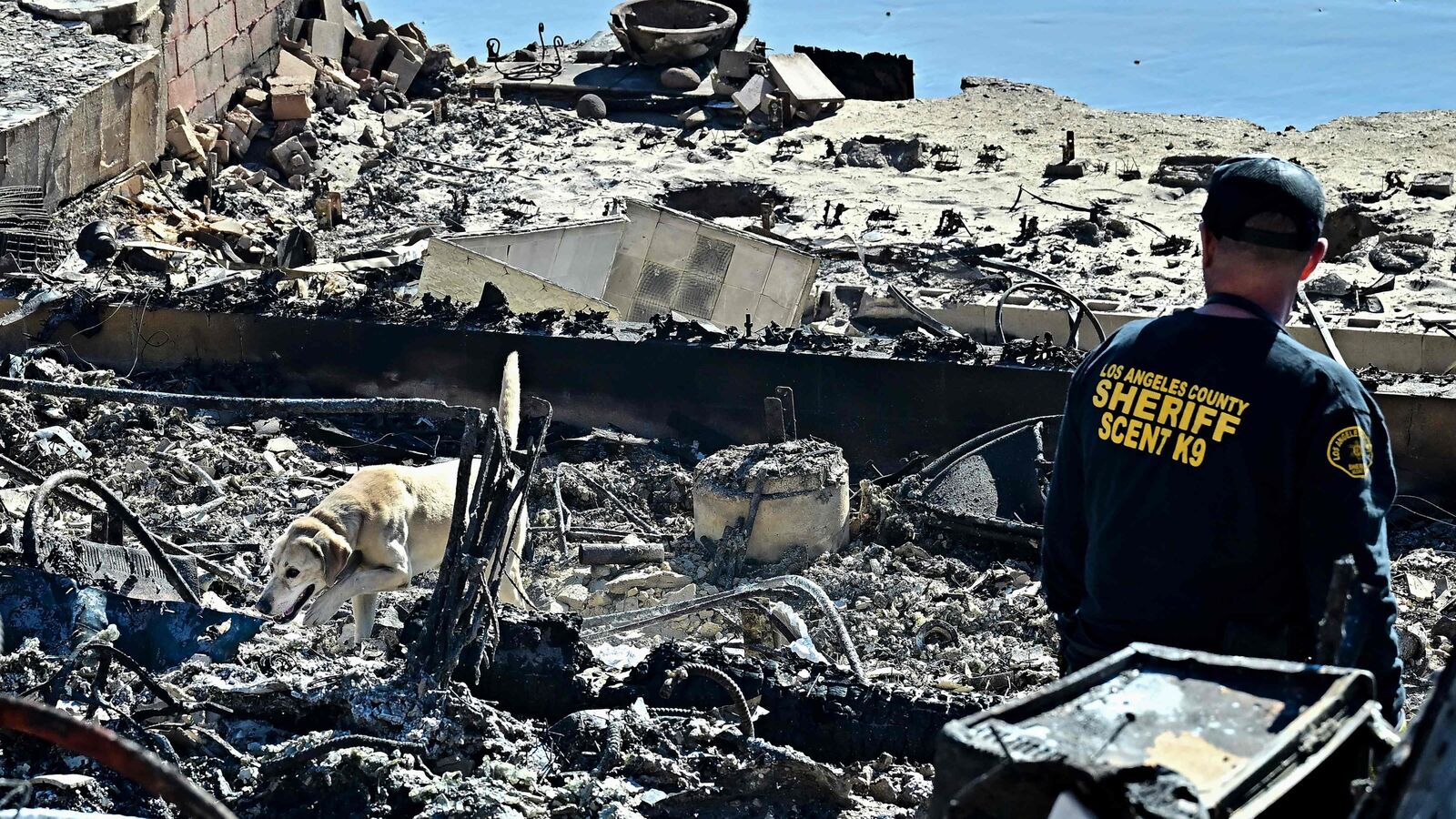 A cadaver dog, from the Los Angeles County Sheriff, sniffs through the rubble of beachfront properties destroyed by the Palisades Fire along Pacific Coast Highway in Malibu, California, on January 12, 2025. (Photo by Frederic J. BROWN / AFP)