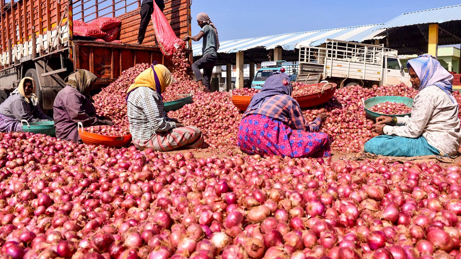 Source, stock and transport: Centre's plan for private firms in onion logistics