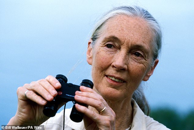 Jane Goodall, a prominent animal rights campaigner, has written to FIFA demanding immediate action, accusing the organisation of turning a blind eye to what she calls 'an horrific act of barbarity