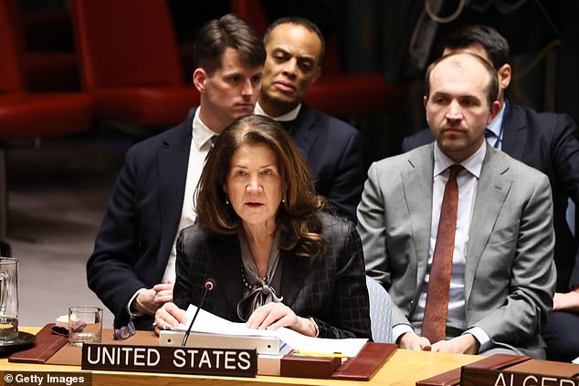 US ambassador Dorothy Camille Shea speaks at the UN Security Council. A US-drafted resolution was supported by Russia and China, as it backed an end to the conflict but did not include any criticism of Moscow