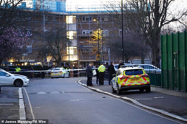 The scene in Paradise Road, Stockwell, south London