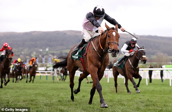 CHELTENHAM, ENGLAND - MARCH 14: Teahupoo ridden by Jack Kennedy make their way up the hill on their way to winning the BetwayPaddy Power Stayers Hurdle during day three of the Cheltenham Festival 2024 at Cheltenham Racecourse on March 14, 2024 in Cheltenham, England. (Photo by Michael Steele/Getty Images)