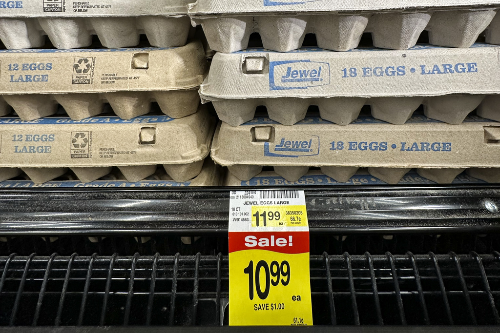 As Egg Crisis Persists, New Agriculture Secretary Outlines Plans to Lower Prices