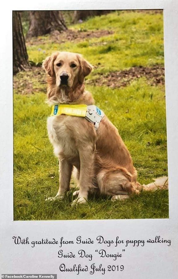 Under equality laws, it is illegal for shops to refuse guide dogs on their premises (Pictured: Dougie's qualification certificate)