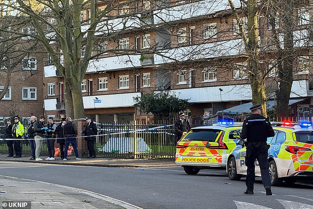 The teenager was pronounced dead at the scene in Paradise Road, Stockwell, after police received reports of a shooting at around 3.20pm on Tuesday