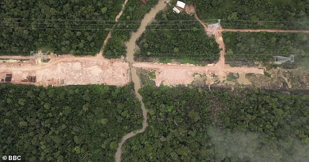 Eight-mile stretch of Amazon forest is felled... to build four-lane highway for COP30 climate summit