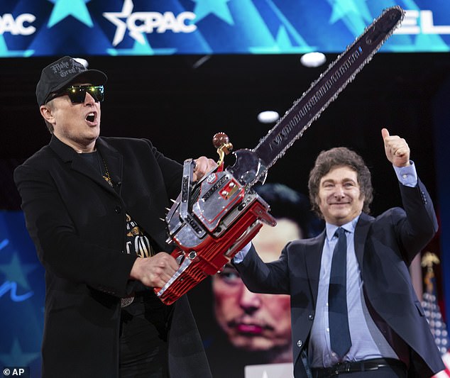 Having set about slashing the US government agency spending, the SpaceX CEO - a key player in the Trump administration - could now use his influence to help dismantle the US's alliances with their European partners. Pictured: Musk (left) wielding the chainsaw gifted to him by Argentina President Javier Milei (right)