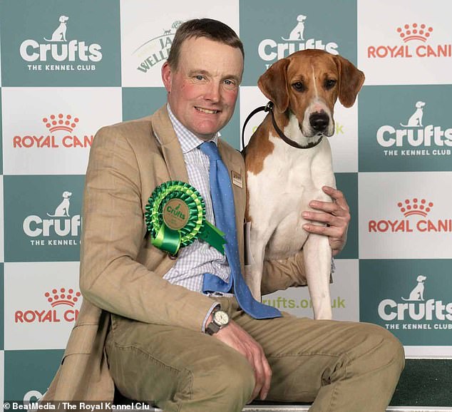 Robert McCarthy, Huntsman with the Percy Hunt, with the adorable Sparkle, the first working Old English Foxhound to compete at Crufts and now a Best of Breed winner