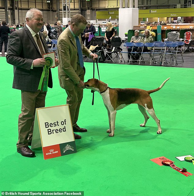 The moment that Sparkle won the prize in the Open Bitch Class