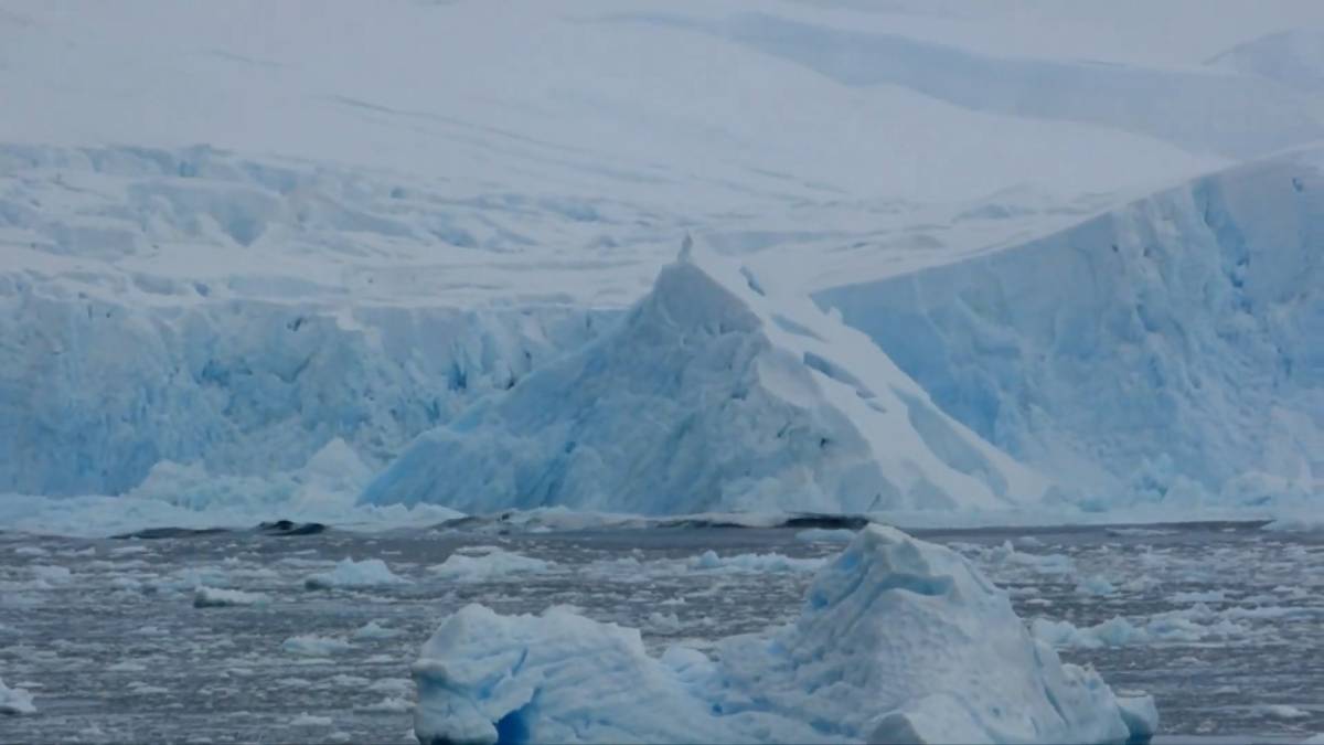 Click to play video: 'Footage captures moment 40m tower of ice splits from Antarctic glacier'