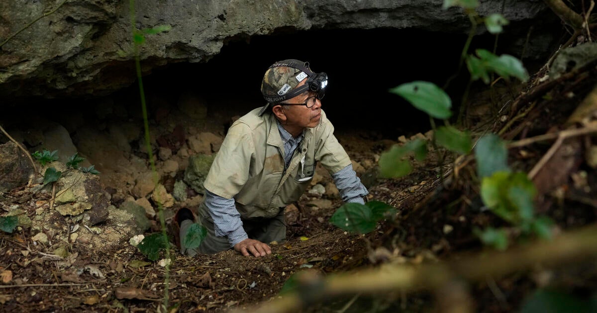 Volunteer searching for WWII dead in Japanese caves unearths remains of hundreds of people