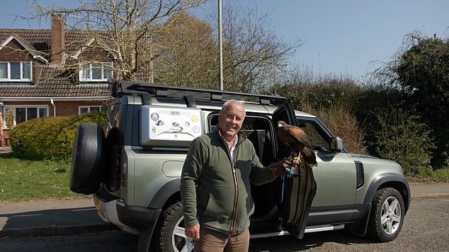 Falconer Alan Greenhaigh posed with the bird moments after it had been captured today