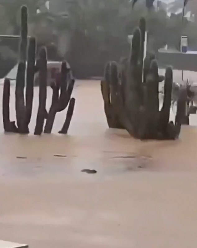 Officials warned locals and tourists alike to take precautions and to avoid unnecessary journeys