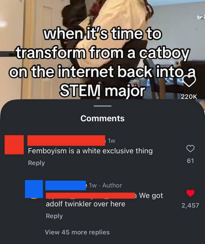 A Tiktok video about being a catboy with a comment that says femboyism is white-exclusive. Another comment responds, calling them "Adolf Twinkler"
